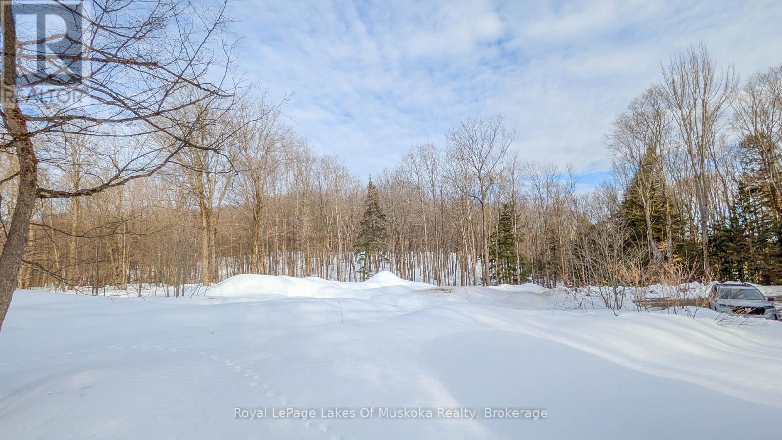 1100 Raymond Road, Muskoka Lakes, Ontario  P0B 1M0 - Photo 2 - X12854322