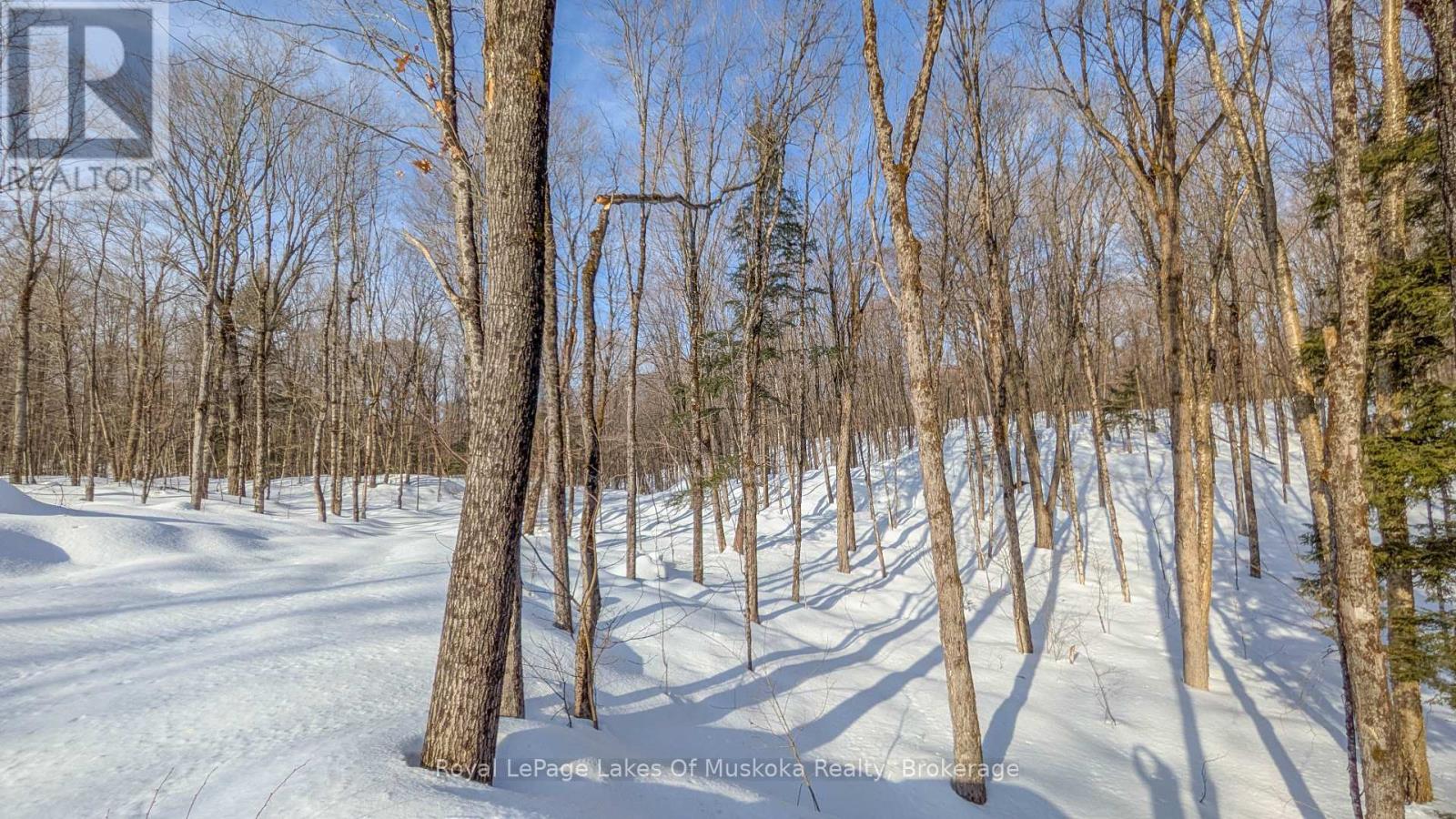 1100 Raymond Road, Muskoka Lakes, Ontario  P0B 1M0 - Photo 3 - X12854322