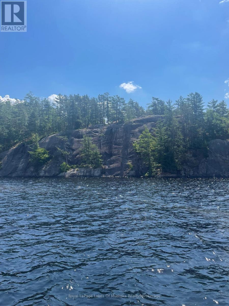 5 - 1115 Kahshe Lake Road, Gravenhurst, Ontario  P0E 1G0 - Photo 20 - X12854592