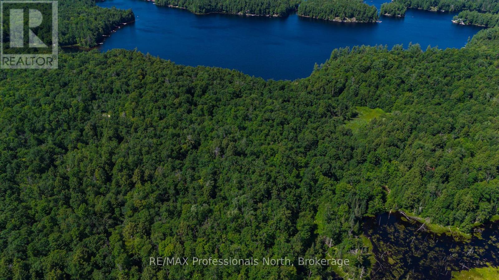 3 Stone Gate Lane, Bracebridge, Ontario  P1L 1X3 - Photo 13 - X12855204