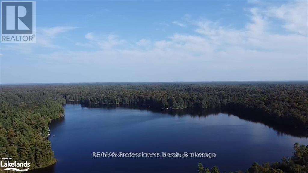 3 Stone Gate Lane, Bracebridge, Ontario  P1L 1X3 - Photo 5 - X12855204