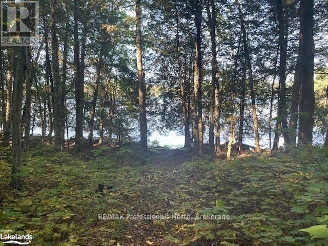 2 Stone Gate Lane, Bracebridge, Ontario  P1L 1X3 - Photo 2 - X12855206