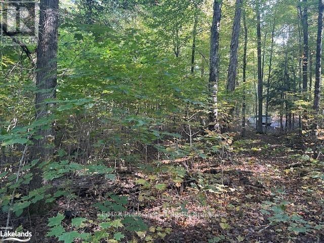 2 Stone Gate Lane, Bracebridge, Ontario  P1L 1X3 - Photo 3 - X12855206