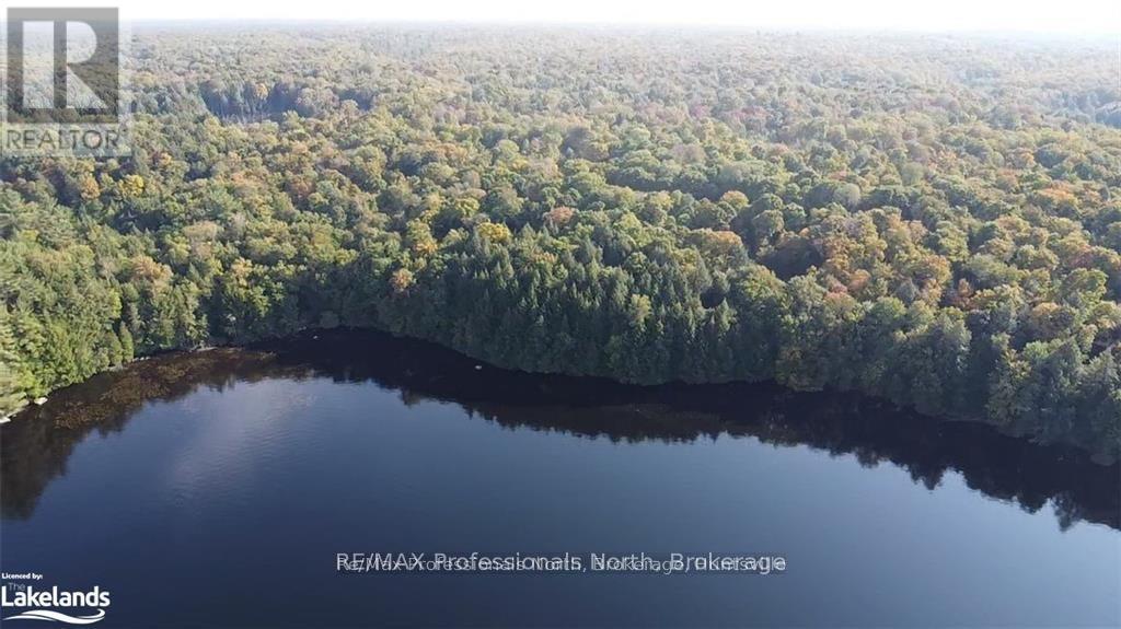 4 Stone Gate Lane, Bracebridge, Ontario  P1L 1X3 - Photo 10 - X12855208