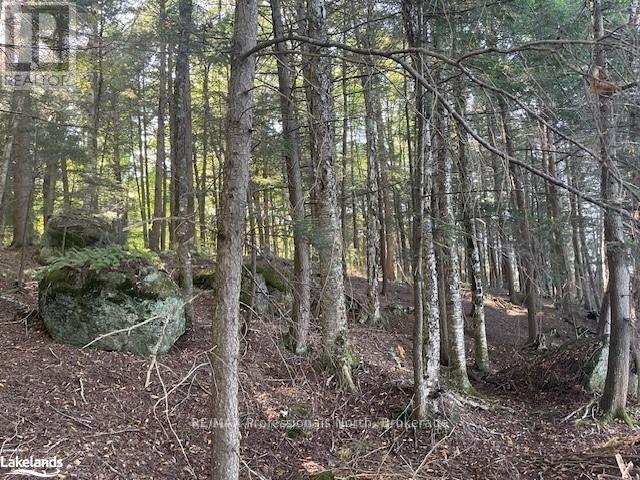 4 Stone Gate Lane, Bracebridge, Ontario  P1L 1X3 - Photo 3 - X12855208