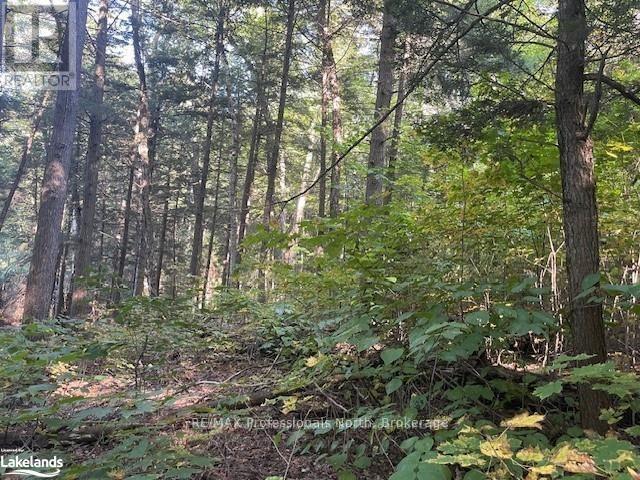 4 Stone Gate Lane, Bracebridge, Ontario  P1L 1X3 - Photo 6 - X12855208