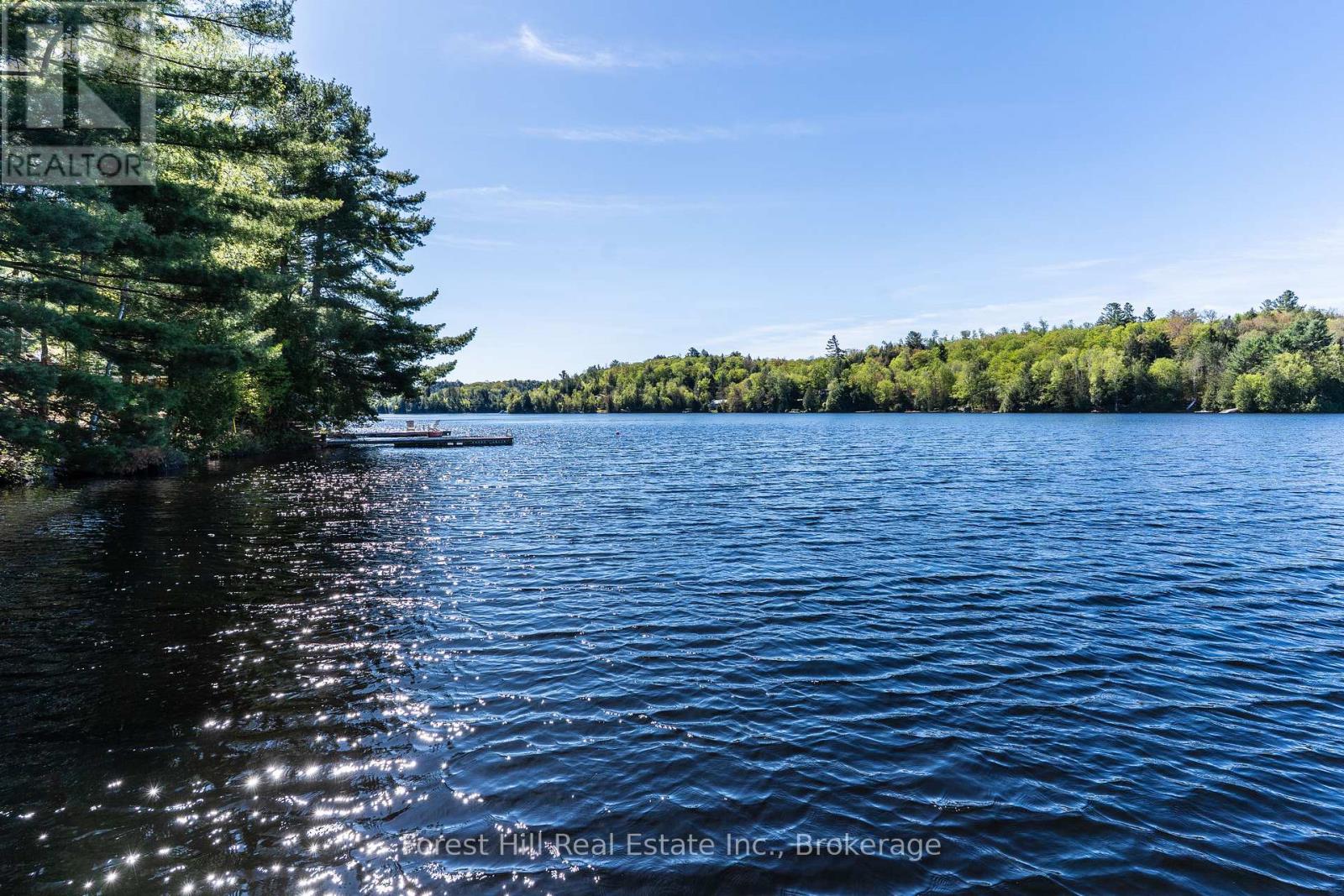 48 Raven Lake, Lake Of Bays, Ontario  P0B 1A0 - Photo 38 - X12857318