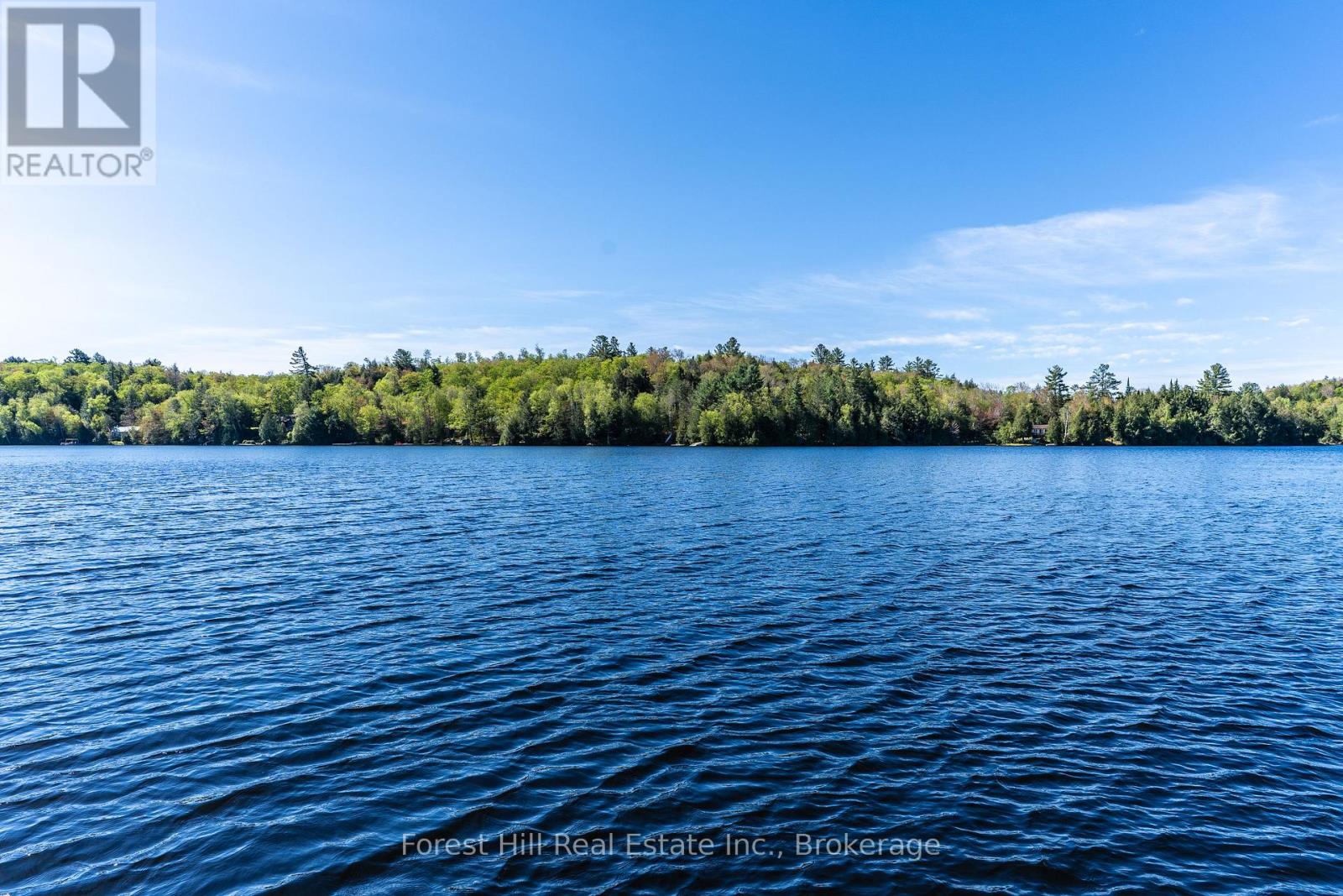48 Raven Lake, Lake Of Bays, Ontario  P0B 1A0 - Photo 49 - X12857318