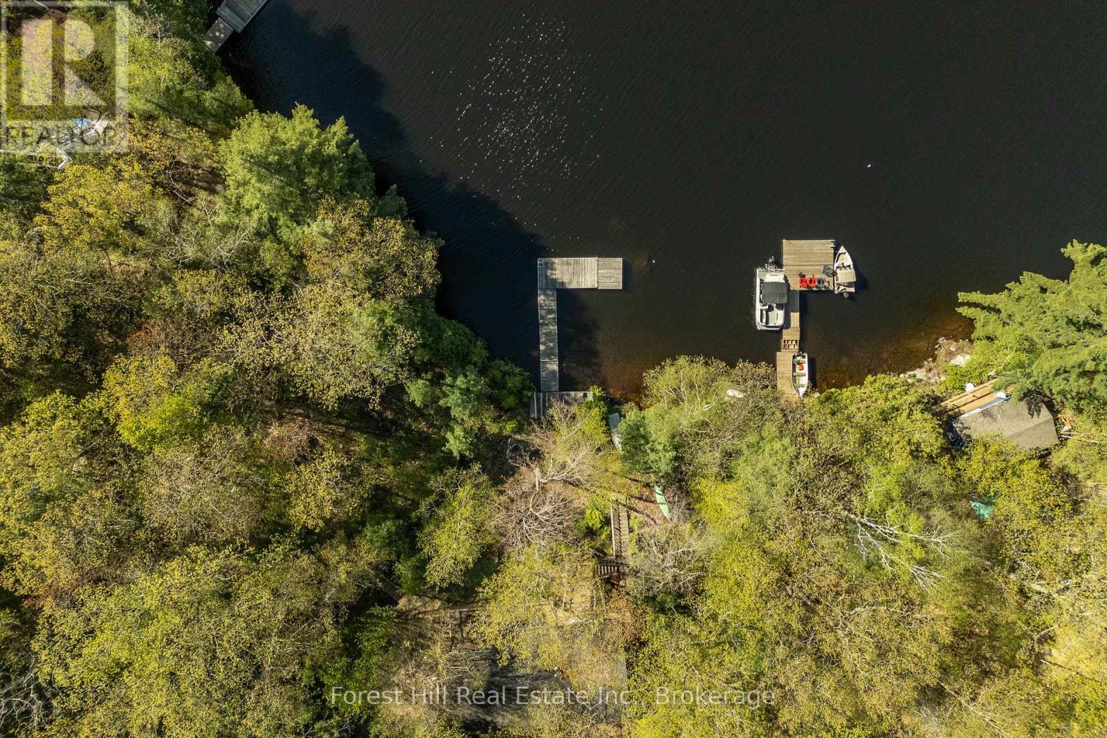 48 Raven Lake, Lake Of Bays, Ontario  P0B 1A0 - Photo 6 - X12857318