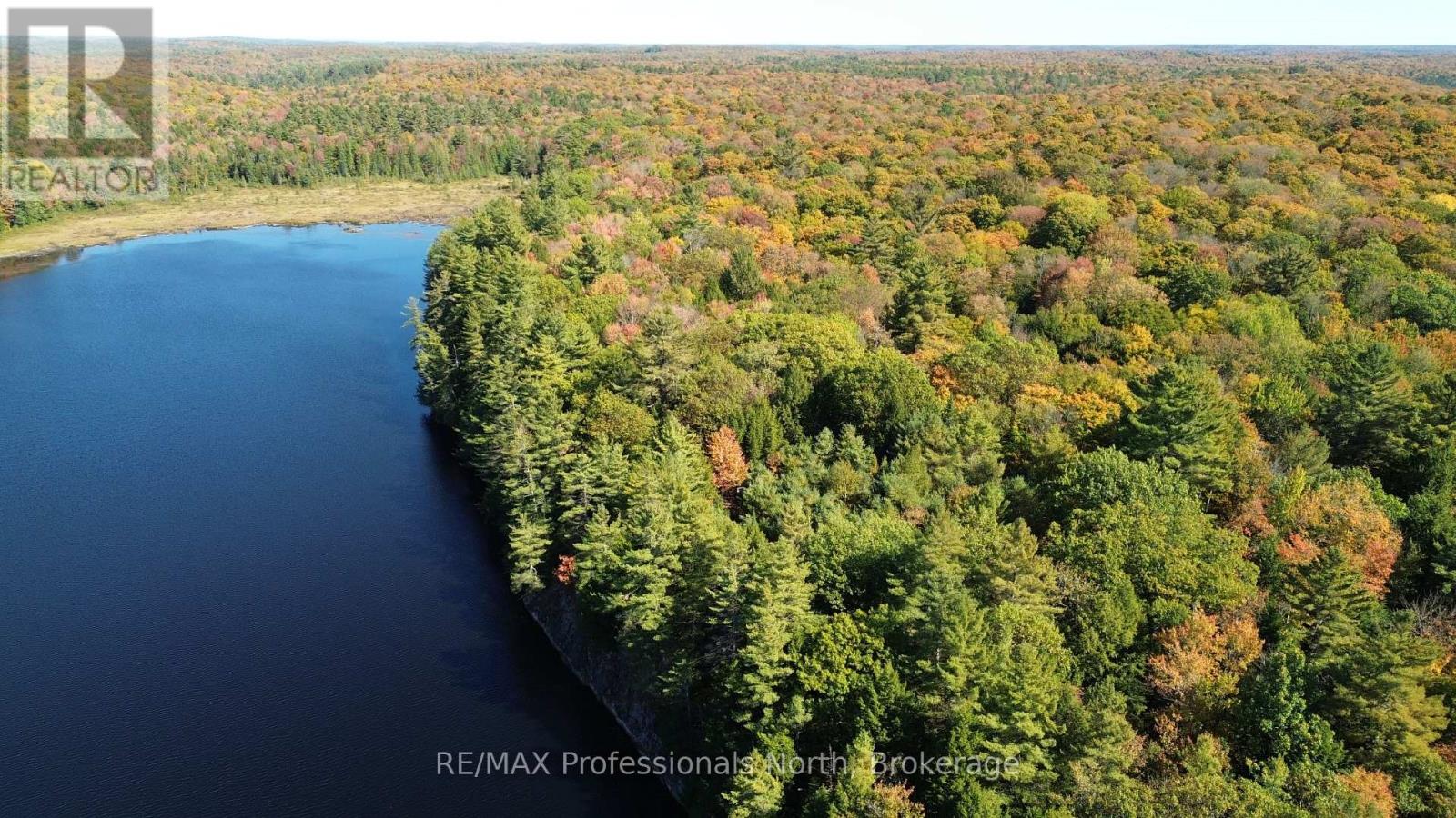 Lot 9 & 10 Concession 5, Lake Of Bays, Ontario  P0B 1A0 - Photo 1 - X12857604
