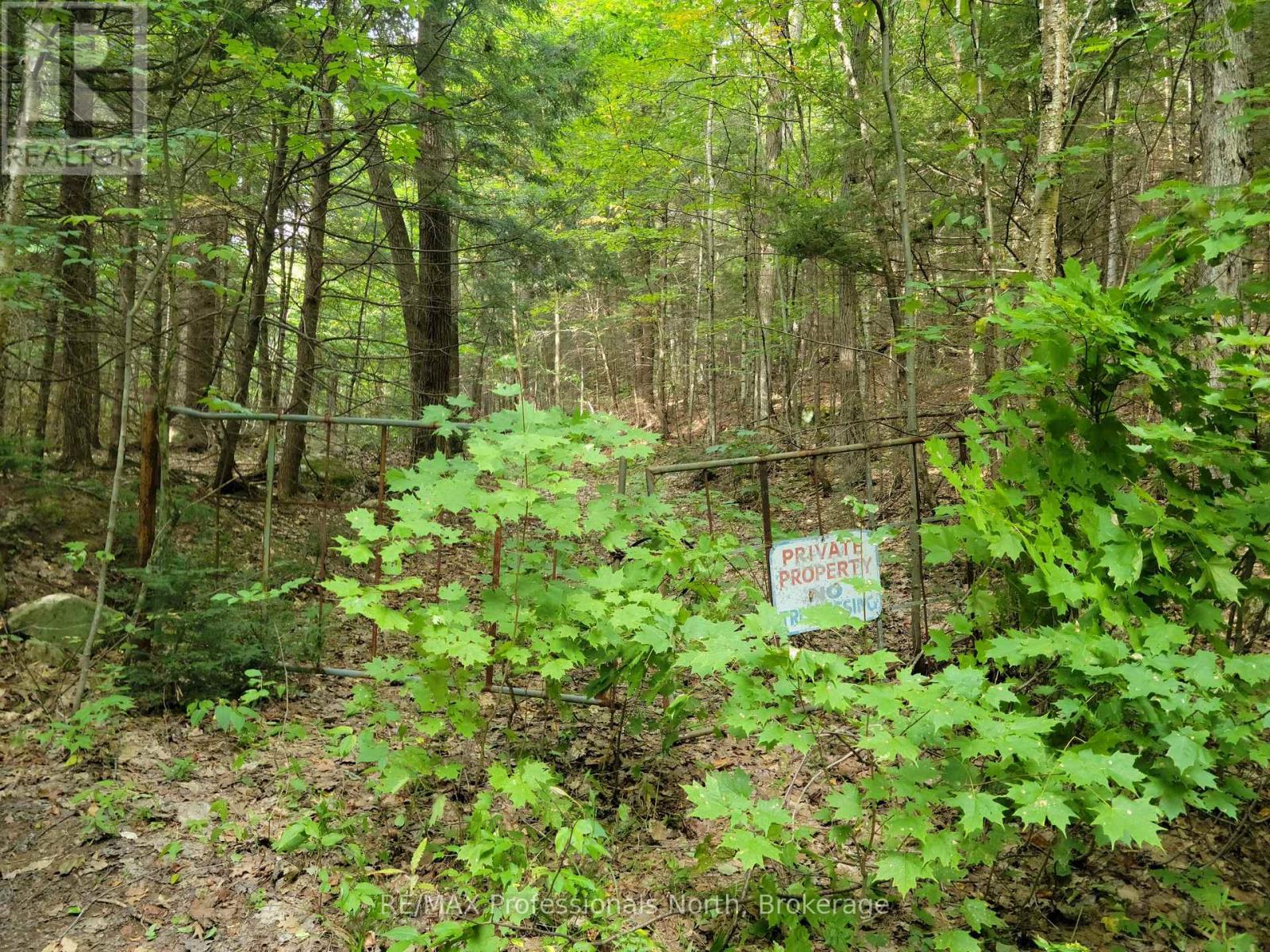 Lot 9 & 10 Concession 5, Lake Of Bays, Ontario  P0B 1A0 - Photo 12 - X12857604