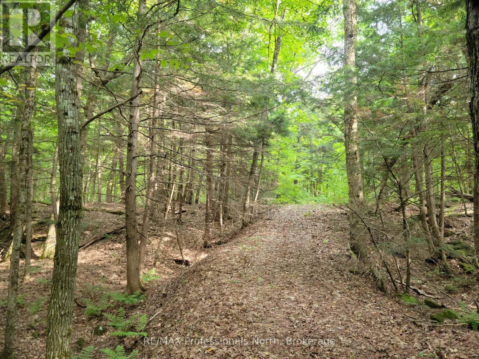 Lot 9 & 10 Concession 5, Lake Of Bays, Ontario  P0B 1A0 - Photo 14 - X12857604