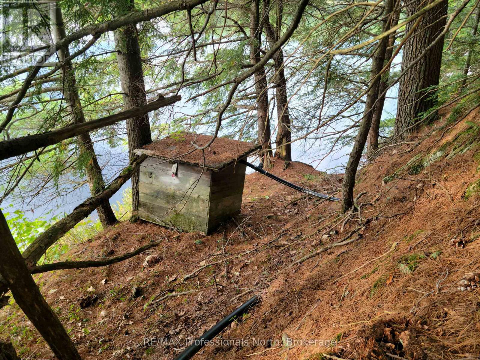 Lot 9 & 10 Concession 5, Lake Of Bays, Ontario  P0B 1A0 - Photo 16 - X12857604