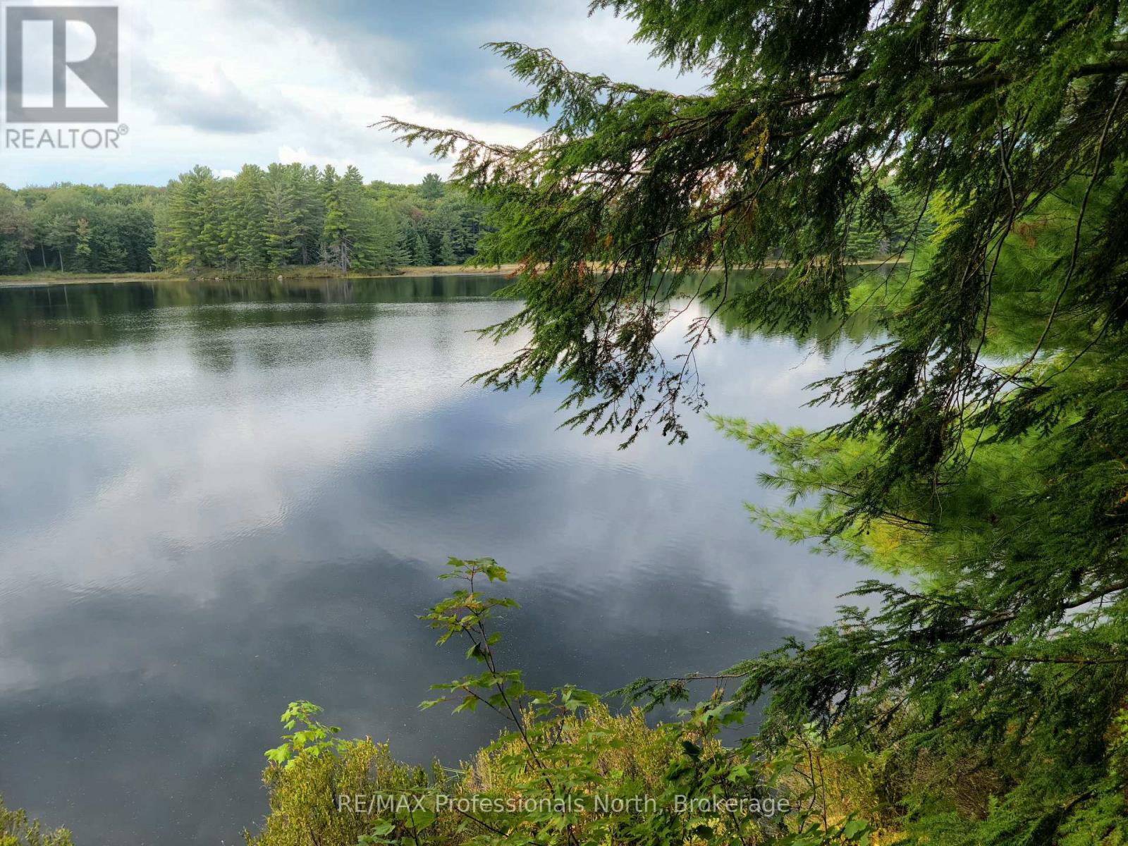 Lot 9 & 10 Concession 5, Lake Of Bays, Ontario  P0B 1A0 - Photo 3 - X12857604
