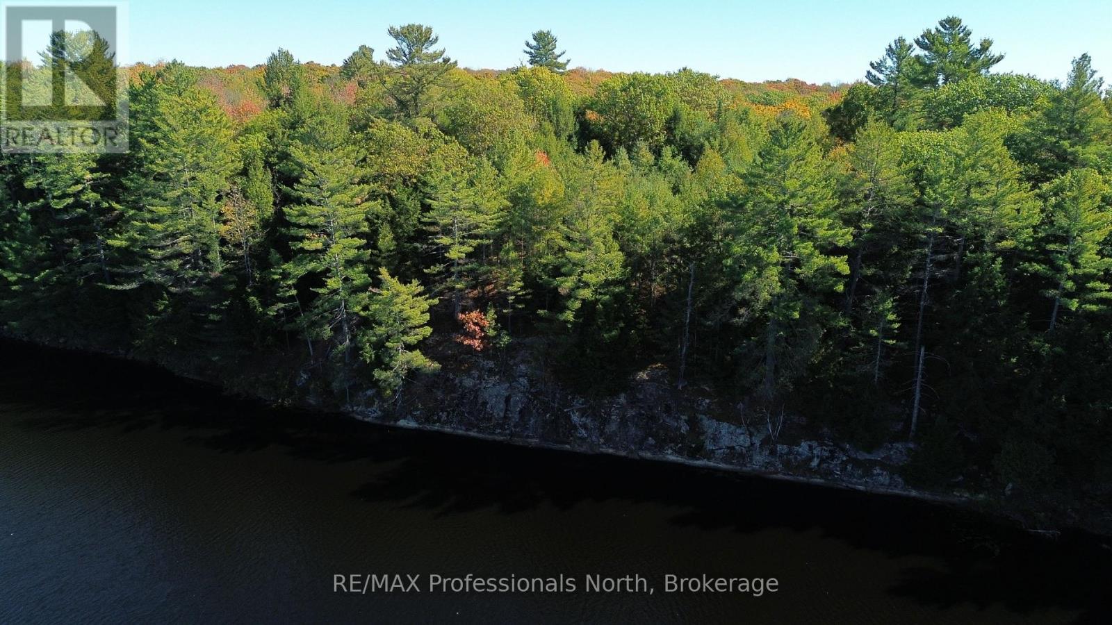 Lot 9 & 10 Concession 5, Lake Of Bays, Ontario  P0B 1A0 - Photo 5 - X12857604