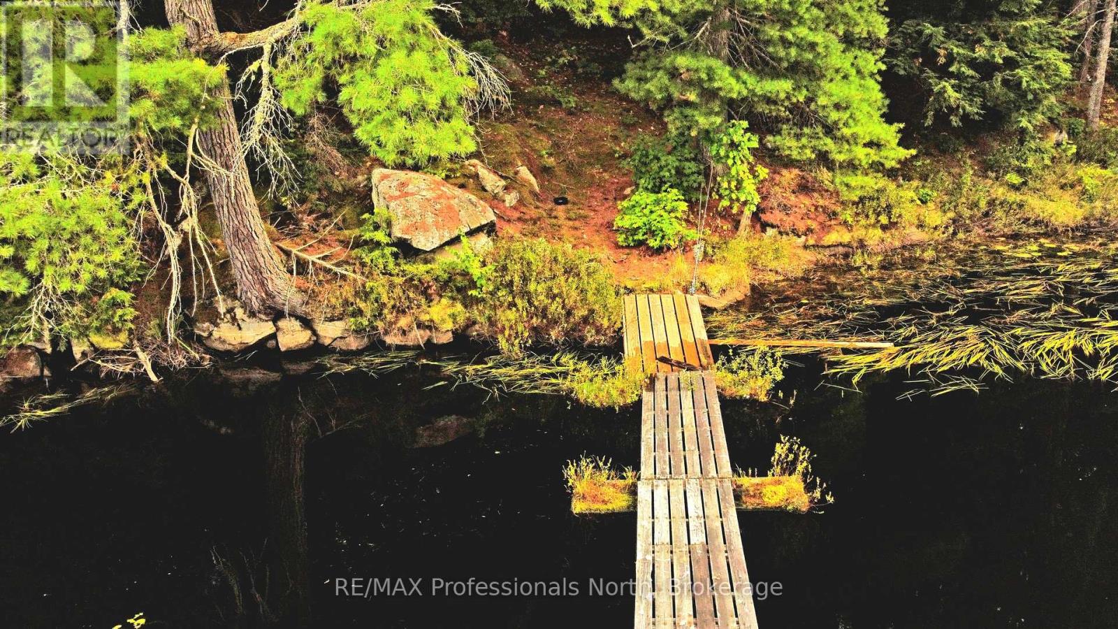 Lot 9 & 10 Concession 5, Lake Of Bays, Ontario  P0B 1A0 - Photo 8 - X12857604