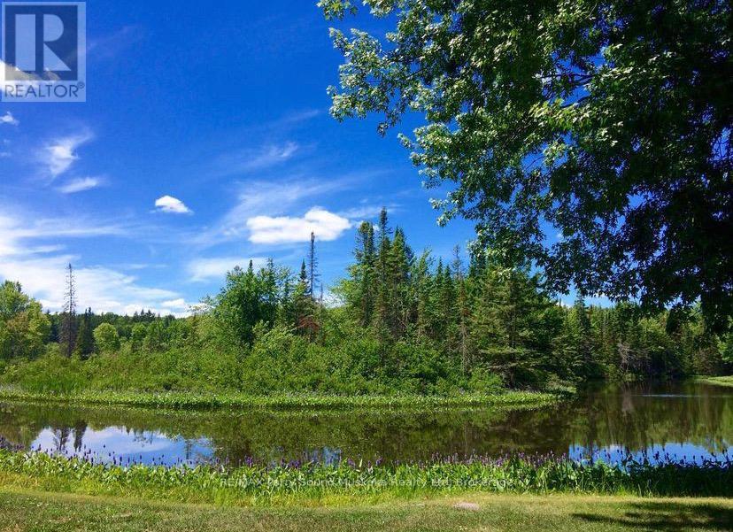 49 Maple Street, Seguin, Ontario  P0C 1J0 - Photo 4 - X12859382