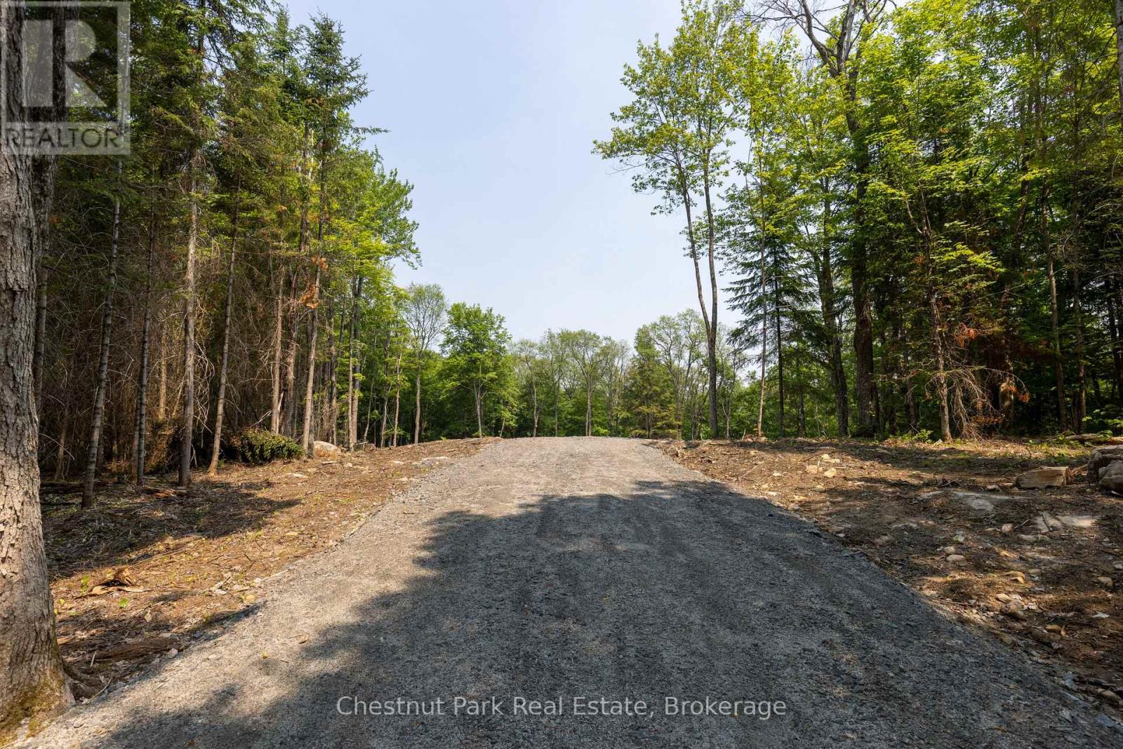 2212 Aspdin Road, Huntsville, Ontario  P0B 1M0 - Photo 2 - X12865704