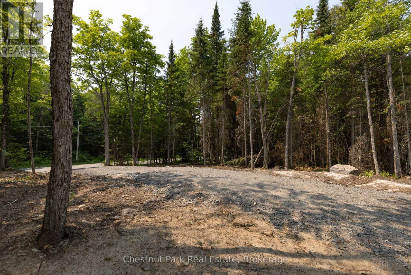 2212 Aspdin Road, Huntsville, Ontario  P0B 1M0 - Photo 4 - X12865704