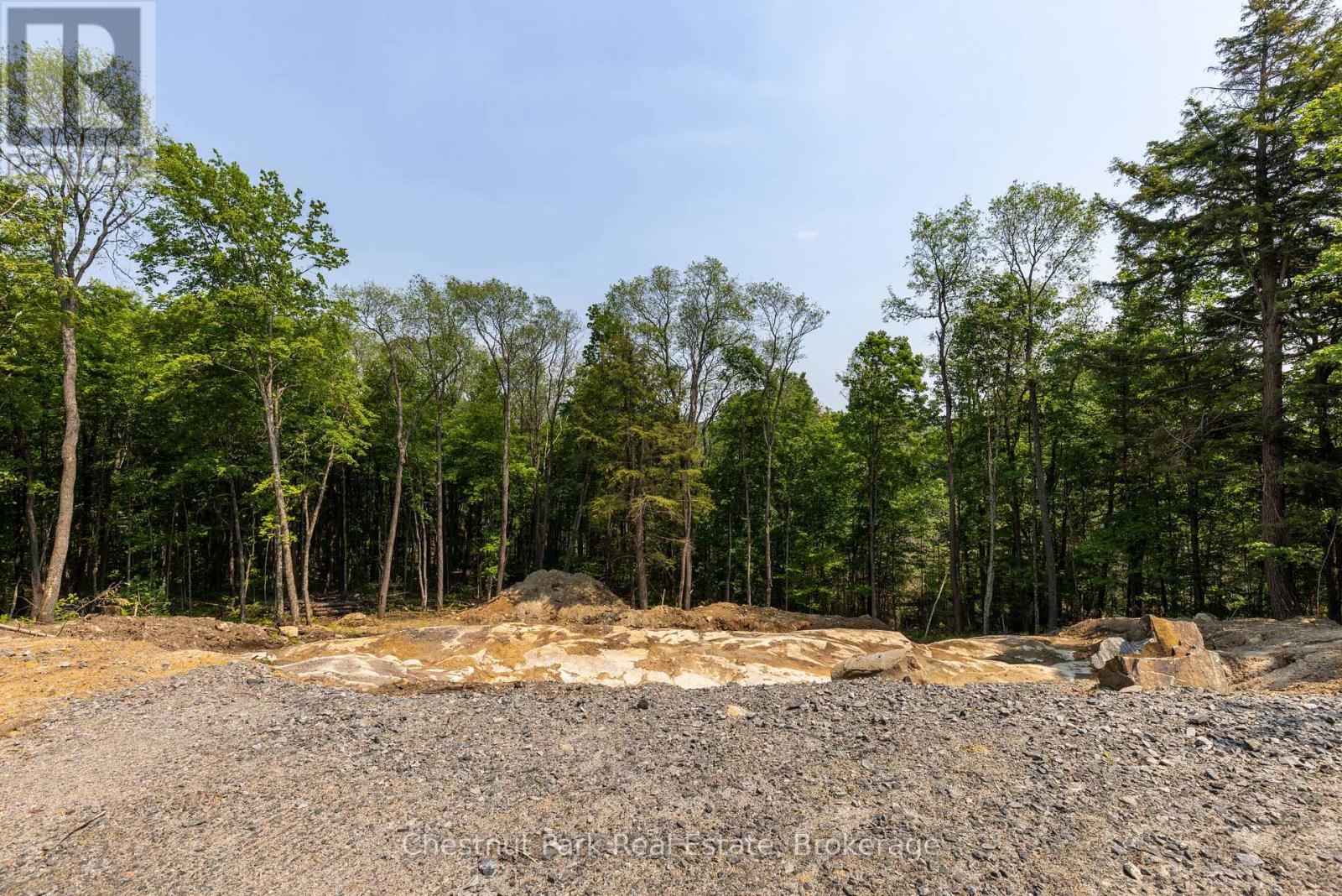 2212 Aspdin Road, Huntsville, Ontario  P0B 1M0 - Photo 7 - X12865704