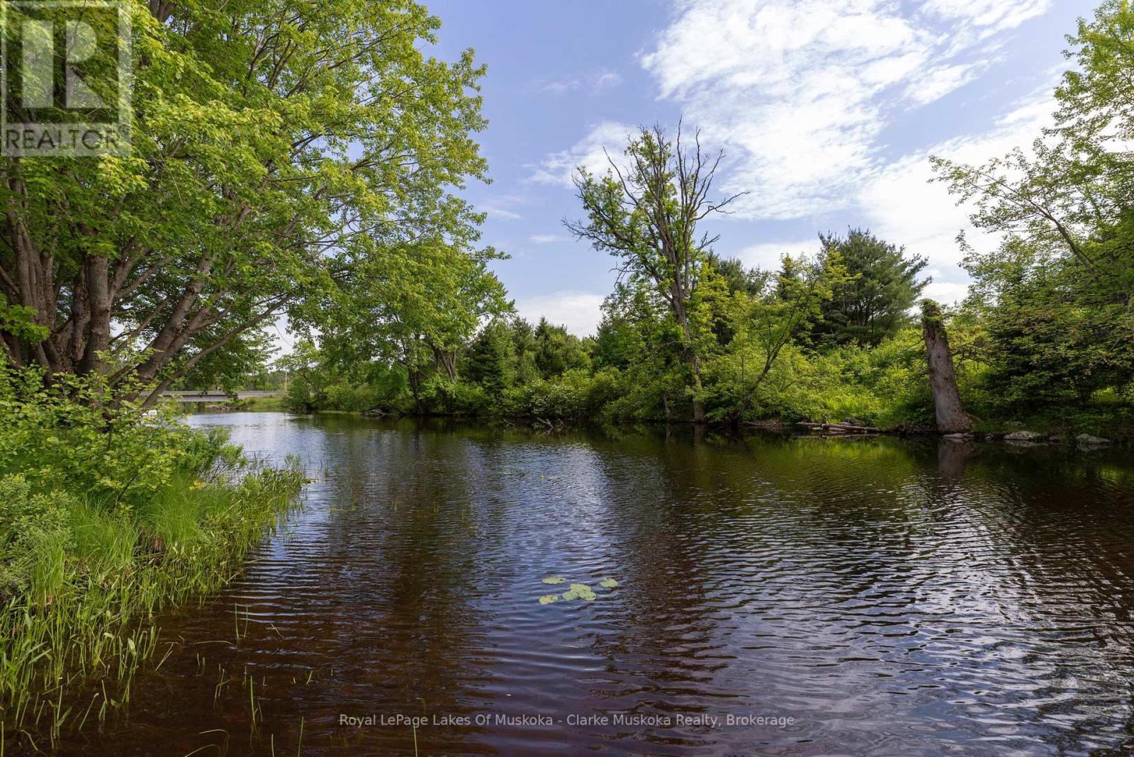 43 Maple St, Seguin, Ontario  P0C 1J0 - Photo 32 - X12866692