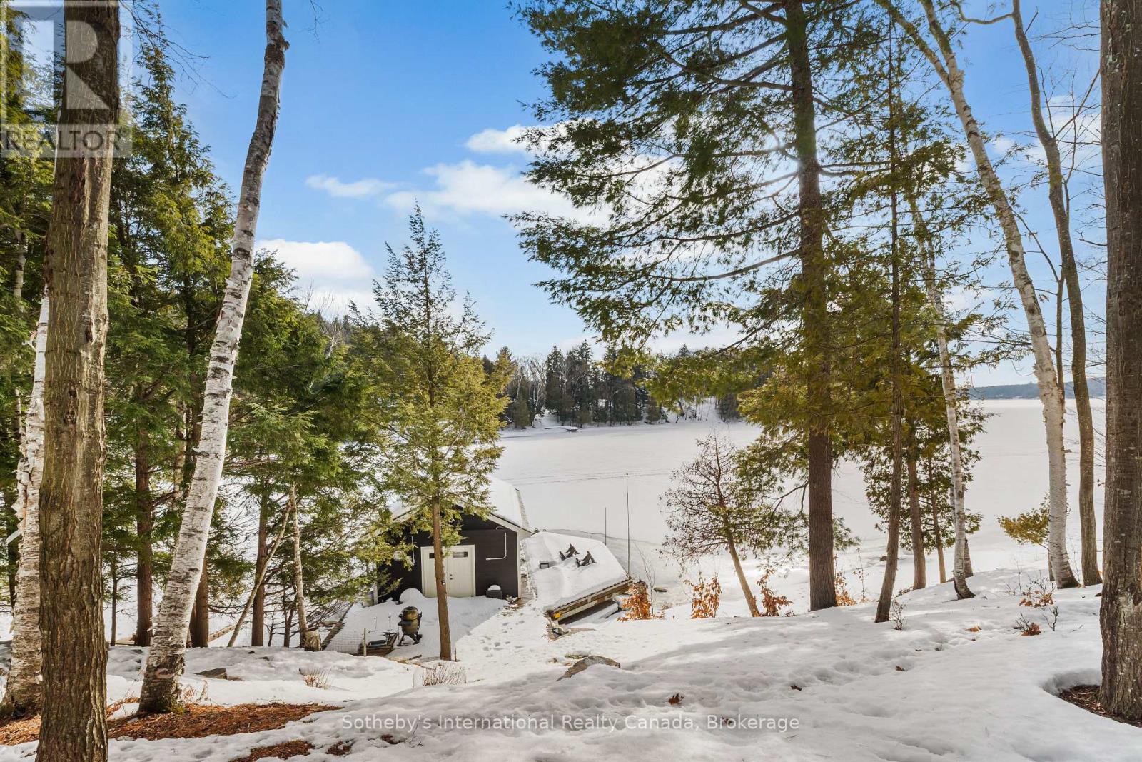 1025 Long Point Road, Lake Of Bays, Ontario  P0A 1H0 - Photo 7 - X12873176