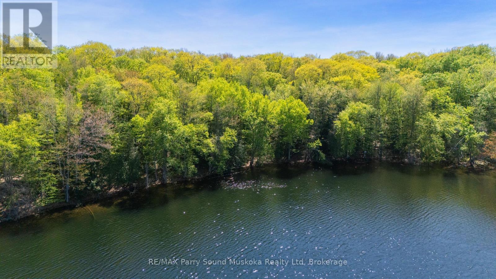 20 Zhaawashkwaa Miika Road, Seguin, Ontario  P2A 0B2 - Photo 12 - X12874004