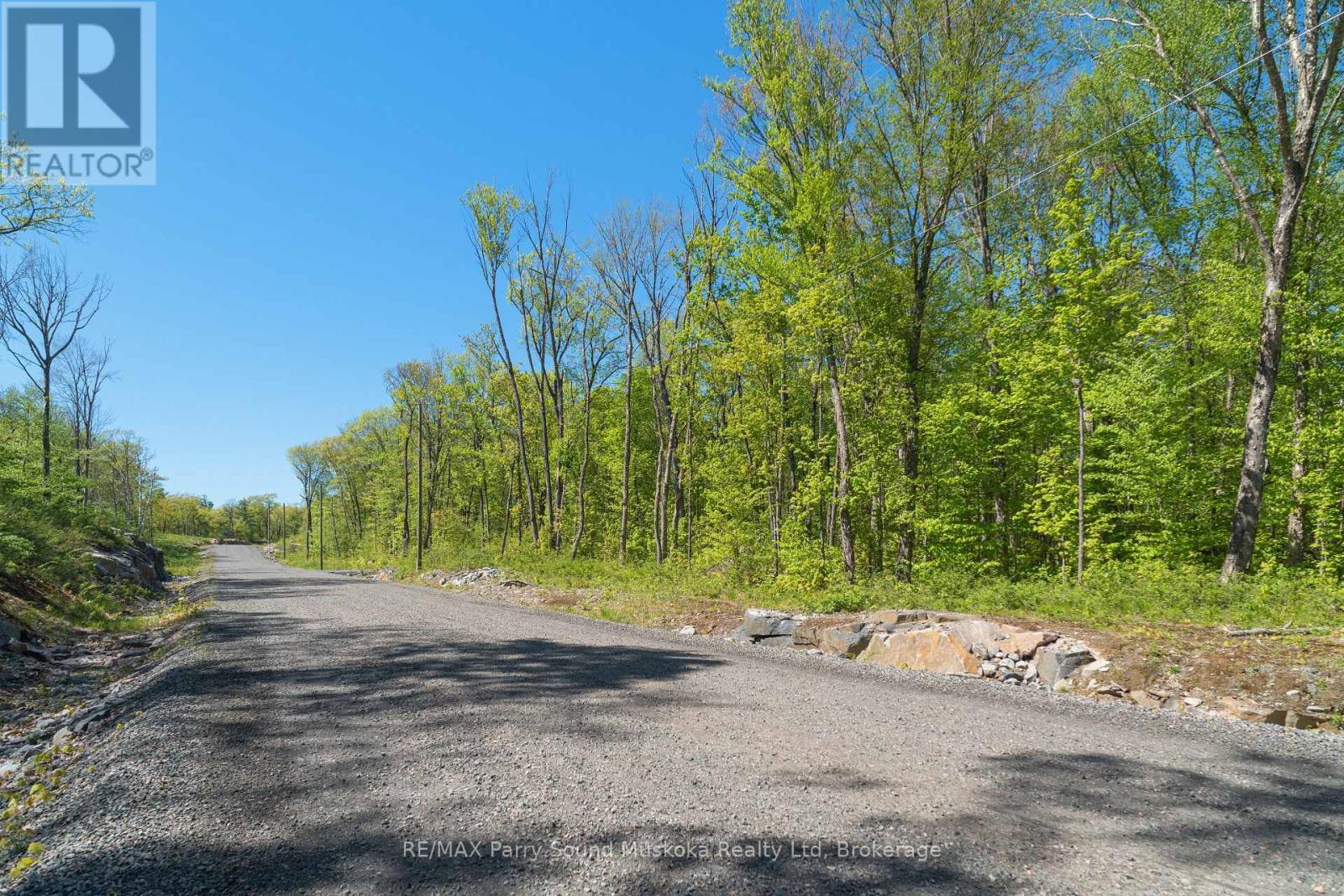 20 Zhaawashkwaa Miika Road, Seguin, Ontario  P2A 0B2 - Photo 6 - X12874004