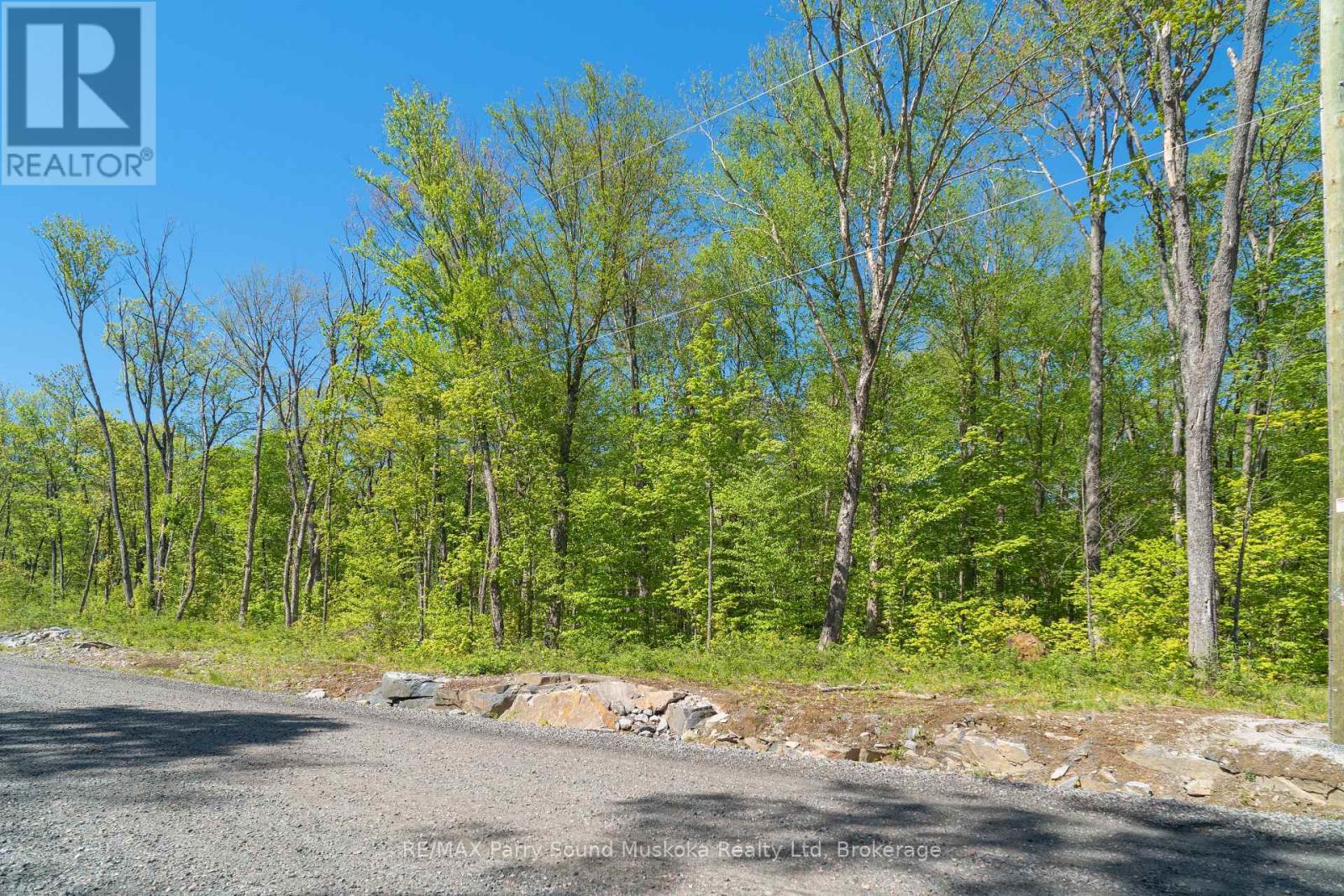 20 Zhaawashkwaa Miika Road, Seguin, Ontario  P2A 0B2 - Photo 7 - X12874004