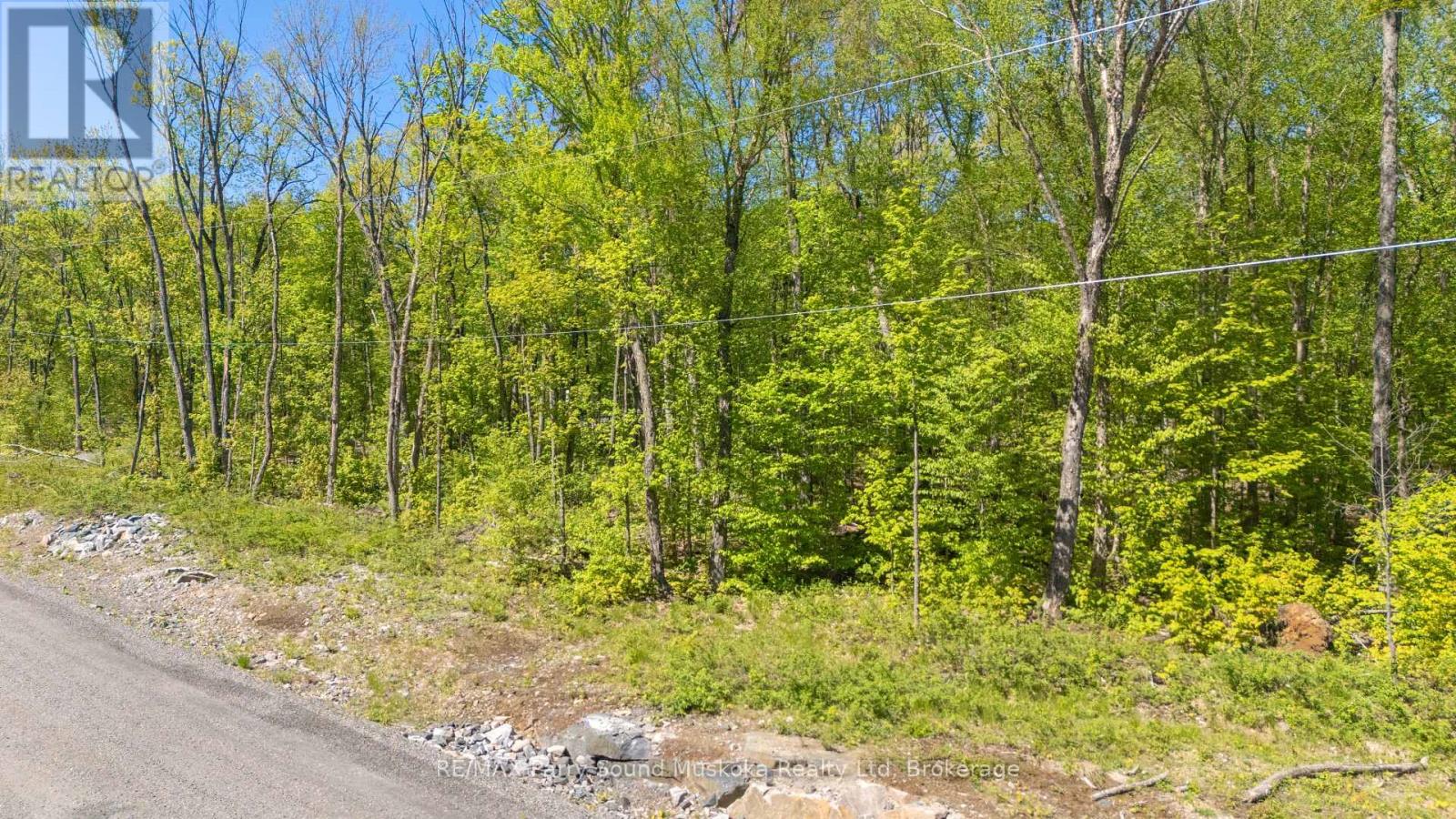 20 Zhaawashkwaa Miika Road, Seguin, Ontario  P2A 0B2 - Photo 9 - X12874004