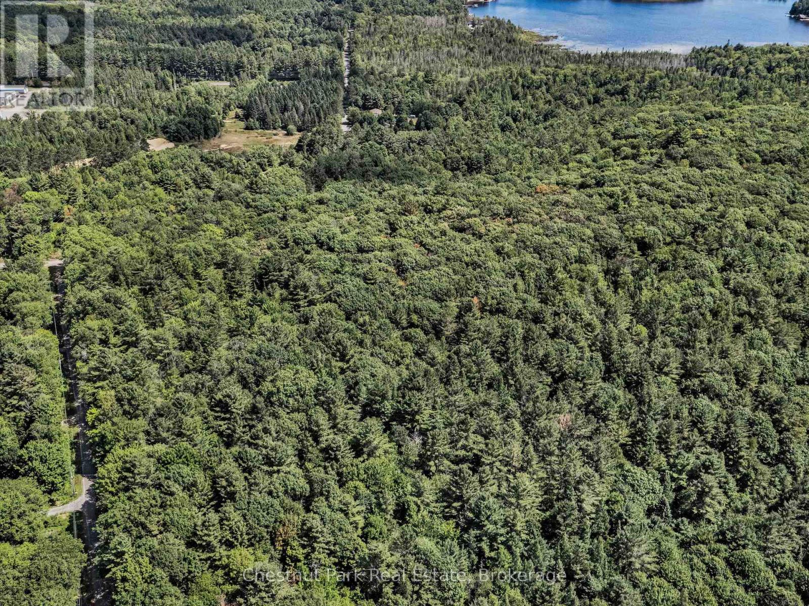 0 Langford Road, Lake Of Bays, Ontario  P0B 1A0 - Photo 11 - X12876796