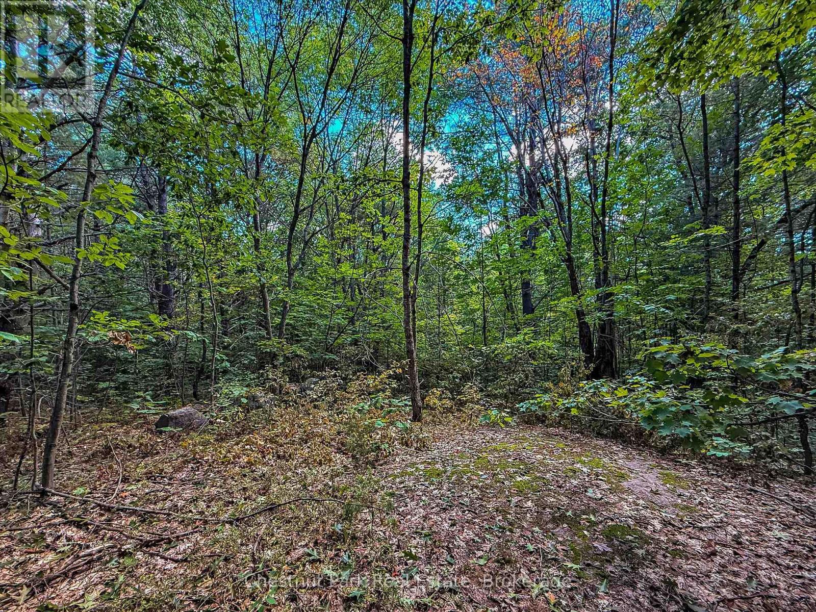 0 Langford Road, Lake Of Bays, Ontario  P0B 1A0 - Photo 5 - X12876796