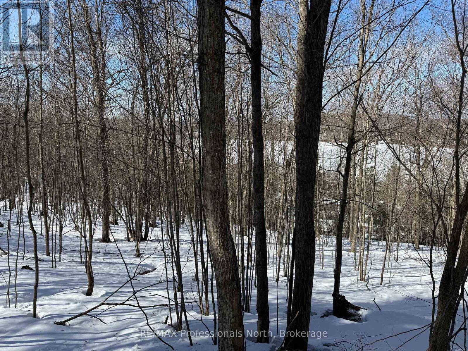 22 Walpole Street W, Huntsville, Ontario  P1H 1V3 - Photo 1 - X12878088