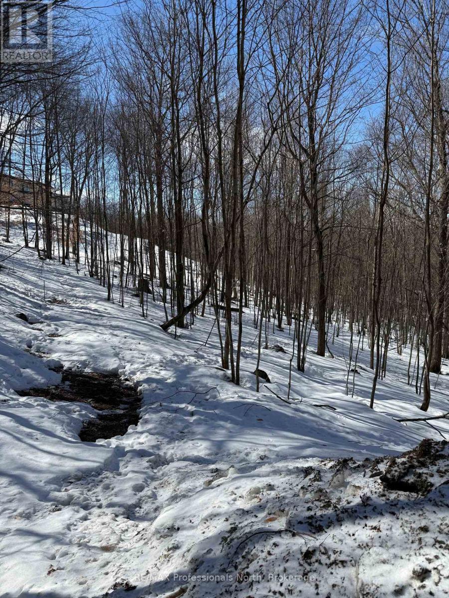 22 Walpole Street W, Huntsville, Ontario  P1H 1V3 - Photo 2 - X12878088