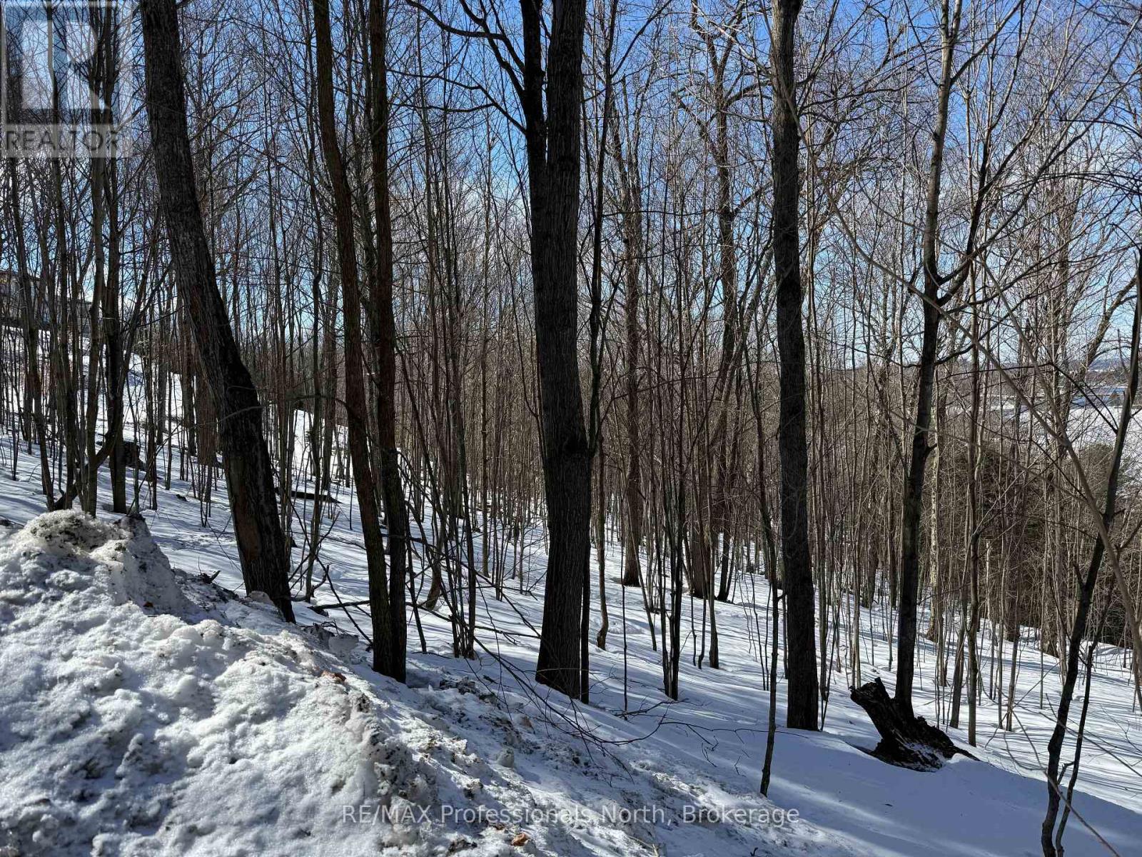 22 Walpole Street W, Huntsville, Ontario  P1H 1V3 - Photo 3 - X12878088