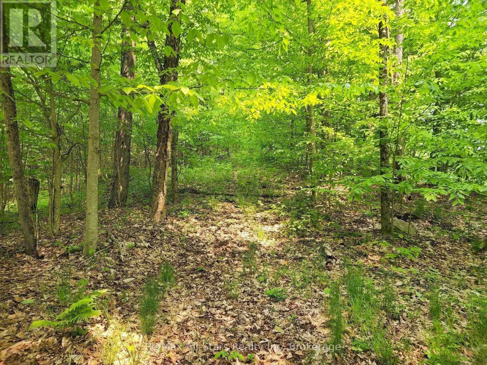 1028 Ronville Road, Lake Of Bays, Ontario  P0A 1H0 - Photo 14 - X12880294