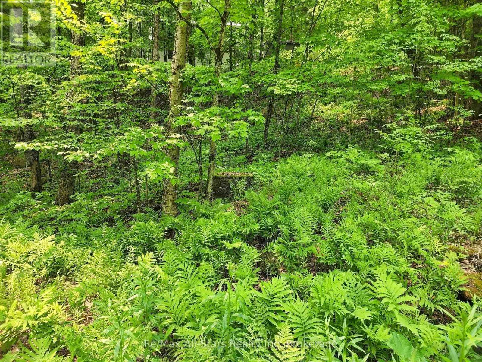 1028 Ronville Road, Lake Of Bays, Ontario  P0A 1H0 - Photo 16 - X12880294