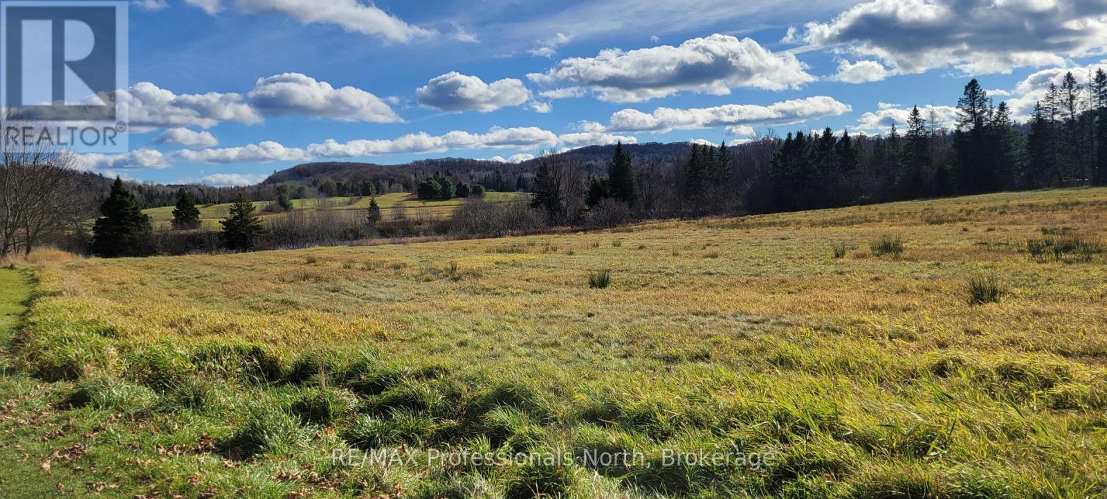 1088 North Mary Lake Road, Huntsville, Ontario  P1H 2J3 - Photo 6 - X12881138