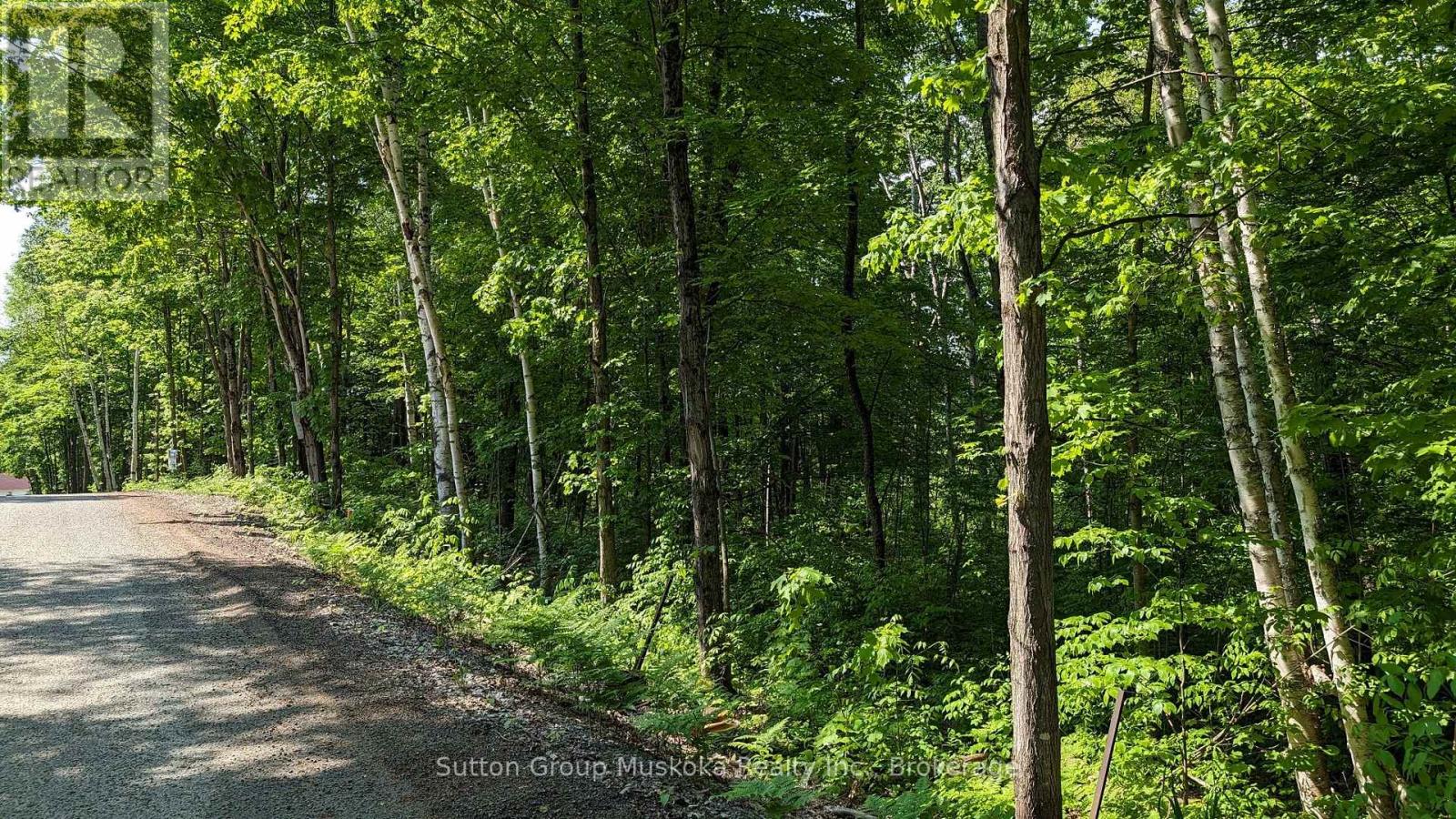 Lot 1 Tally-Ho Winter Park Road, Lake Of Bays, Ontario  P1H 2E8 - Photo 2 - X12881730