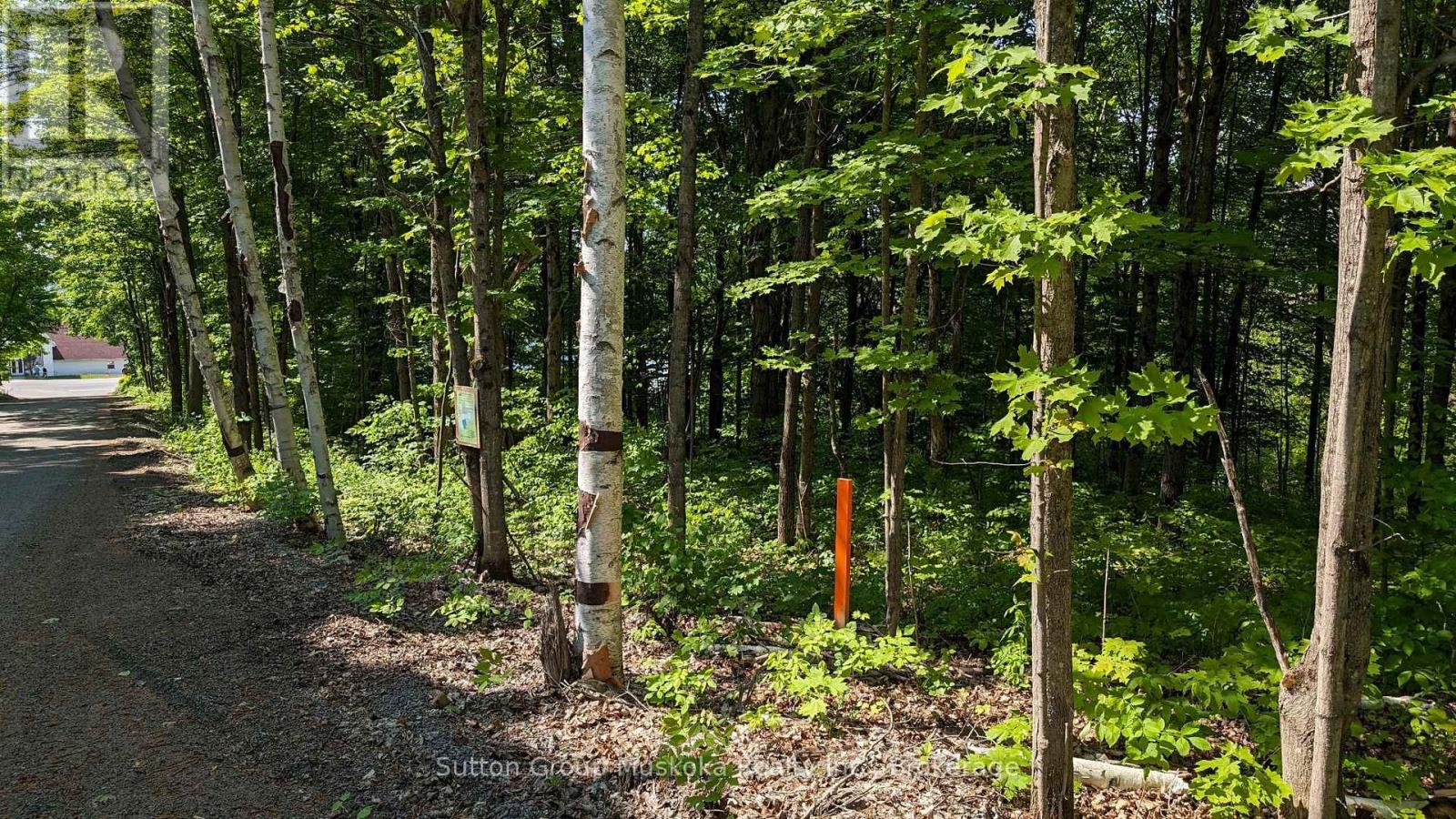 Lot 2 Tally-Ho Winter Park Road, Lake Of Bays, Ontario  P1H 2E5 - Photo 5 - X12881752