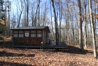 1165 Spring Lake Road, Bracebridge, Ontario  P1L 1X1 - Photo 16 - X12882212