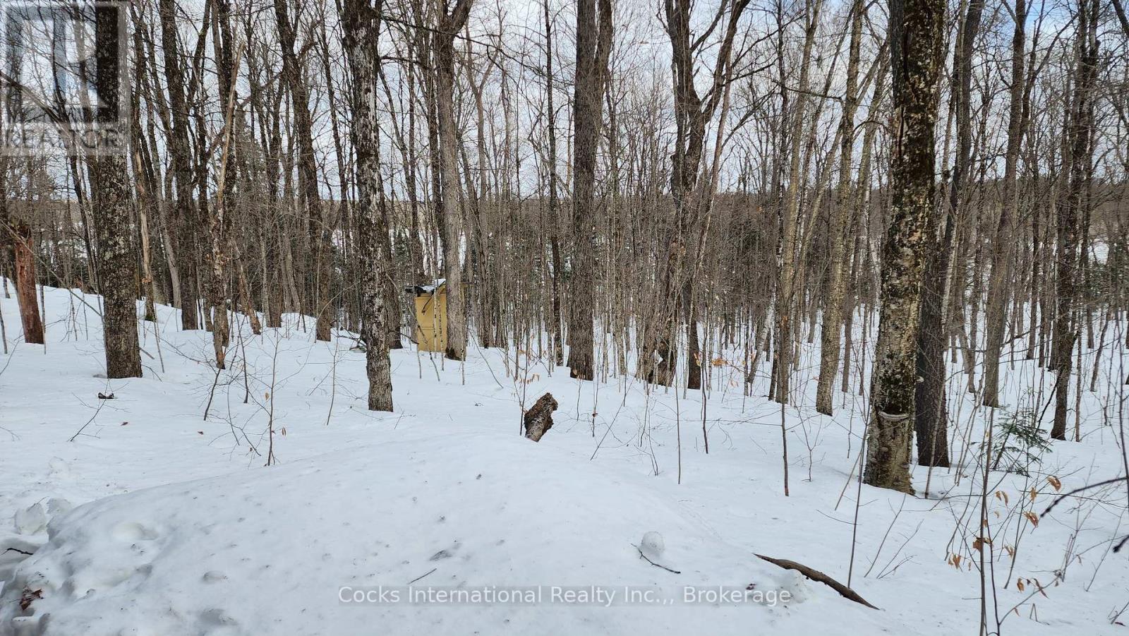 1165 Spring Lake Road, Bracebridge, Ontario  P1L 1X1 - Photo 19 - X12882212