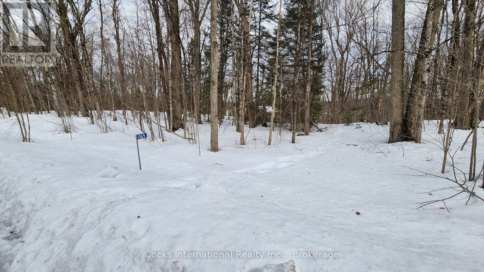 1165 Spring Lake Road, Bracebridge, Ontario  P1L 1X1 - Photo 3 - X12882212