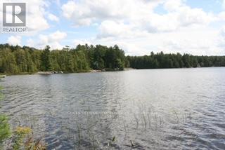 1165 Spring Lake Road, Bracebridge, Ontario  P1L 1X1 - Photo 7 - X12882212