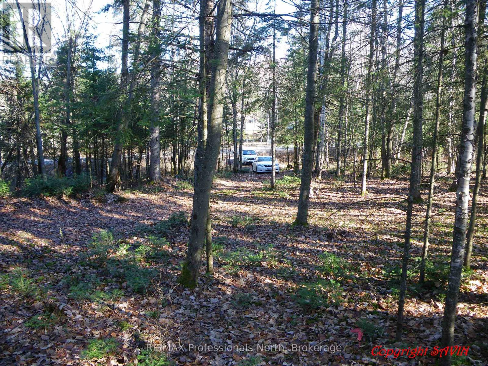 Pcl 20438 & 29803 Upper Walker Lake Road, Lake Of Bays, Ontario  P1H 2J6 - Photo 1 - X12884098
