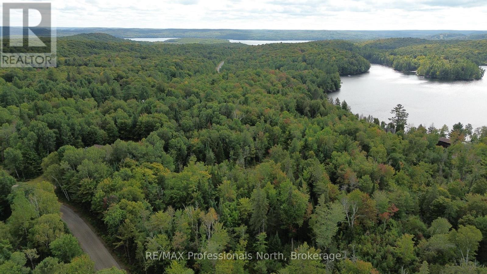 Pcl 20438 & 29803 Upper Walker Lake Road, Lake Of Bays, Ontario  P1H 2J6 - Photo 14 - X12884098