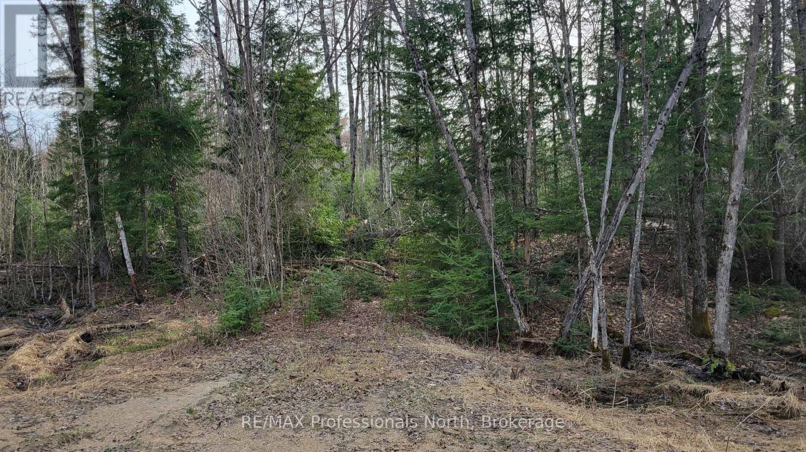Pcl 20438 & 29803 Upper Walker Lake Road, Lake Of Bays, Ontario  P1H 2J6 - Photo 4 - X12884098