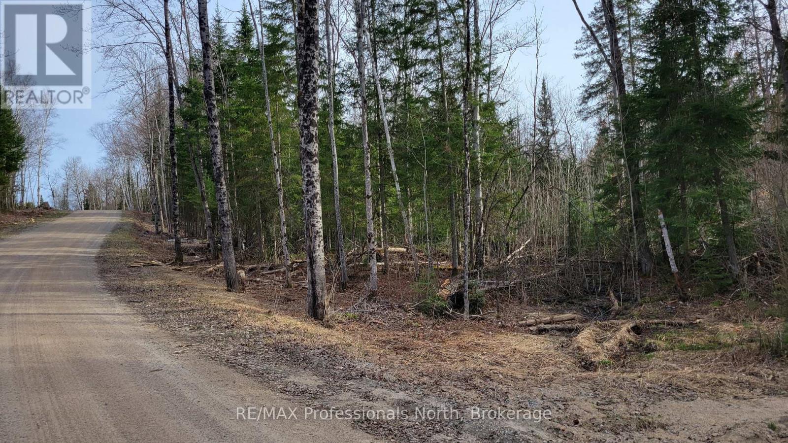 Pcl 20438 & 29803 Upper Walker Lake Road, Lake Of Bays, Ontario  P1H 2J6 - Photo 6 - X12884098