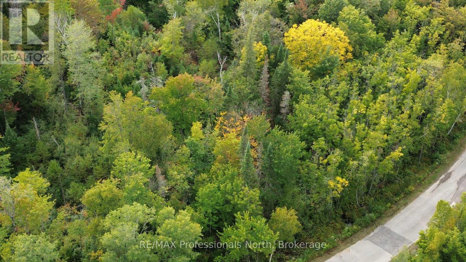 Pcl 20438 & 29803 Upper Walker Lake Road, Lake Of Bays, Ontario  P1H 2J6 - Photo 8 - X12884098