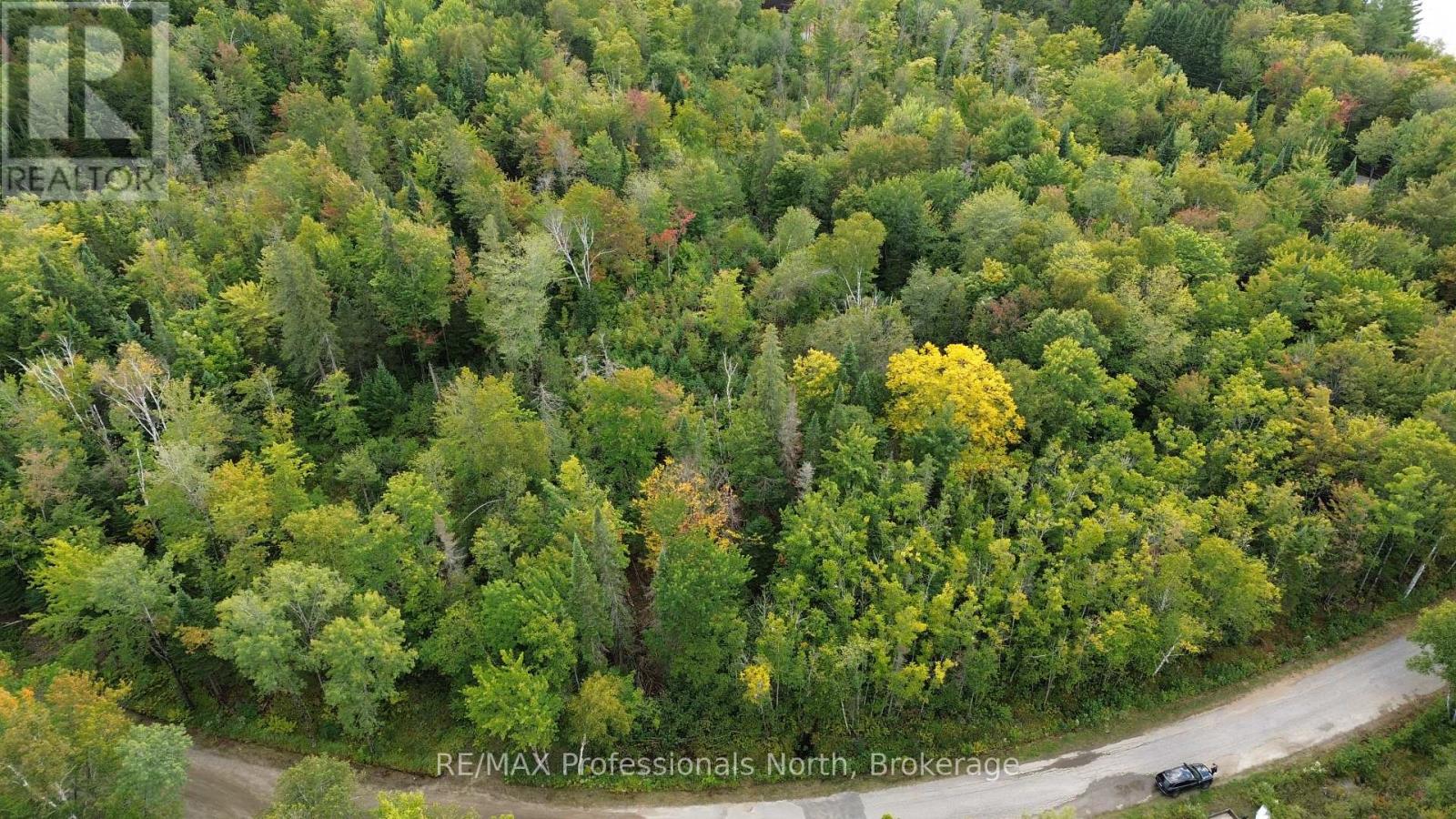 Pcl 20438 & 29803 Upper Walker Lake Road, Lake Of Bays, Ontario  P1H 2J6 - Photo 9 - X12884098